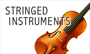弦楽器 Strings